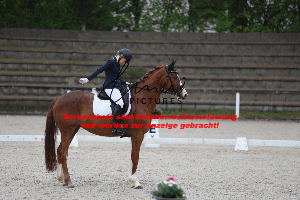 A40A7793 | lmwpictures - Realisiert mit Pictrs.com