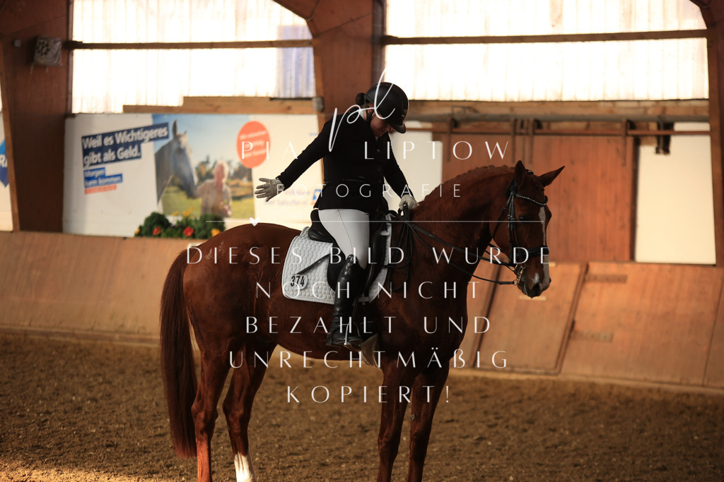 IMGT0500 | pl-fotografie