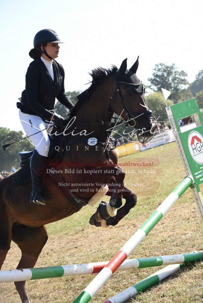 DSC_5928 | Pferde- und Turnierfotografie in Westsachsen. Pferdeportraits, Auftragszeichnungen und intuitive Kunst.