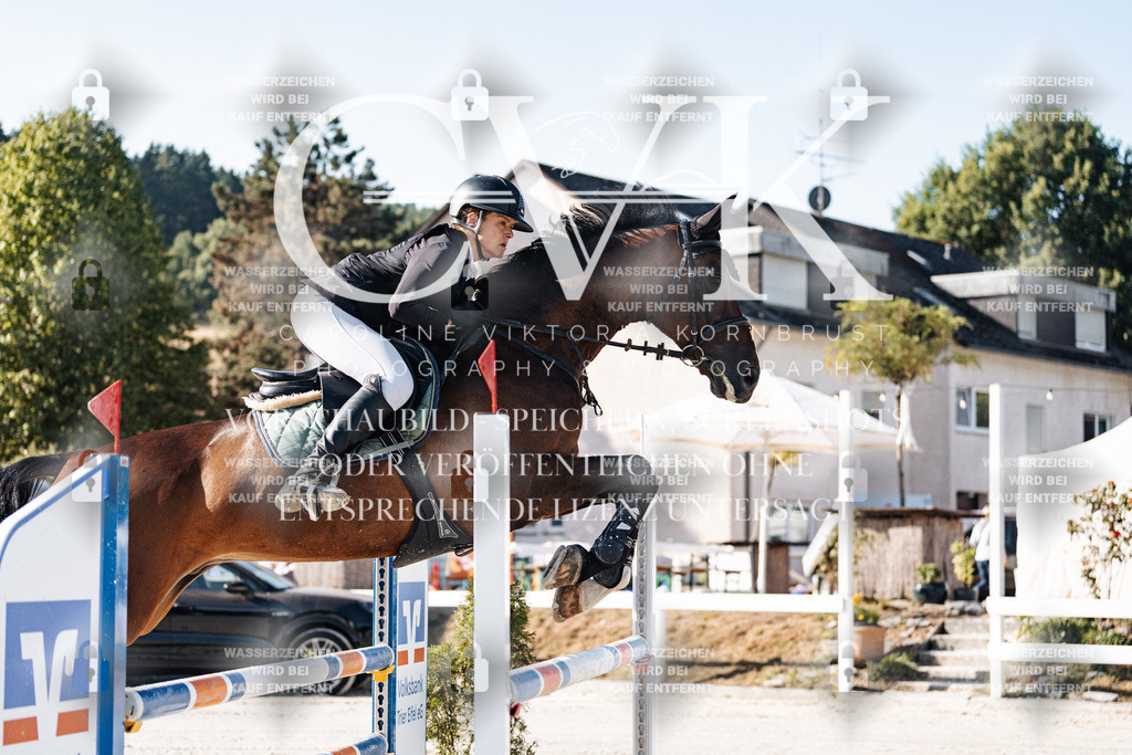 CK904108 | Turnierfotografie Pferdefotografie Trier Rheinland-Pfalz Pferdesport Reitsport Tierfotografie Sportfotografie Pferdevideo Pferdevideografie Equestrianvideography equestrianphotography  - Realisiert mit Pictrs.com