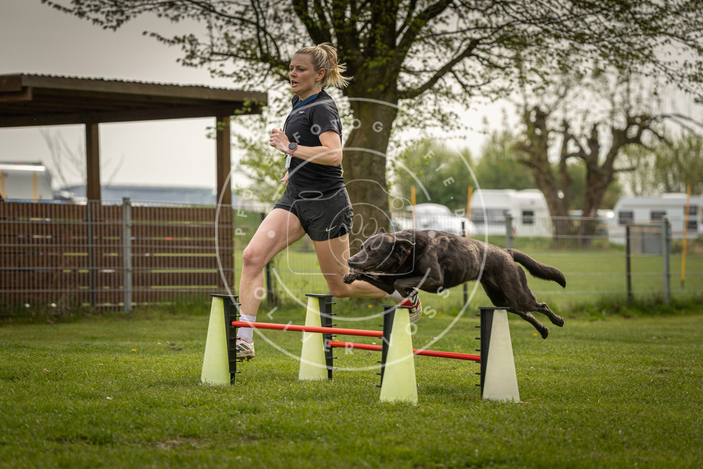 Pfotenfotografie_DV3A6790 | Hundefotografie, Tierfotograf, Pfotenfotografie, Fotoshooting Hund, Hunde Portrait, Hundesport, Hundeportraits, Heideshooting, Hunde, Sportfotograf, Hundefotograf, Turnierhundsport, THS,  - Realisiert mit Pictrs.com