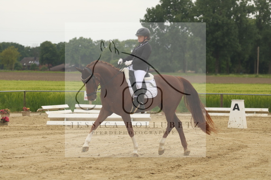 IMG_6689 | jessicahollubetz_pferdephotographie - Realisiert mit Pictrs.com