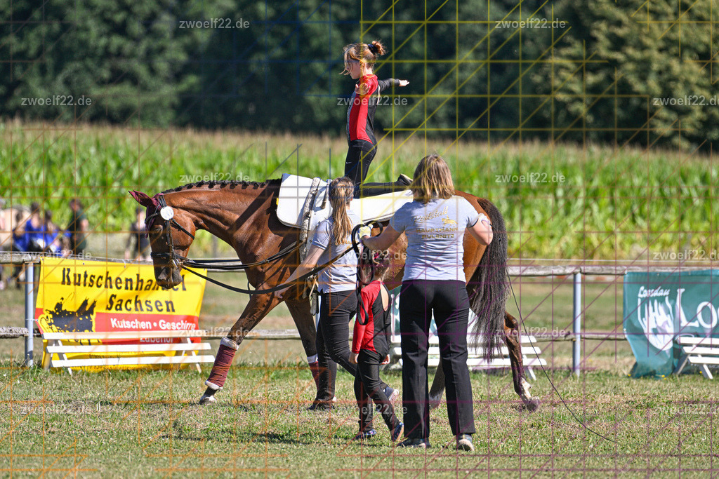 30 Jahre RFV Pulsnitz e.V., Pulsnitz am 09.08.2026 | 30Jahre Reit- und Fahrverein Pulsnitz e.V., Pulsnitz am 08.08.26, Zur 28. breitensportlichen Veranstaltung des RFV Pulsnitz e.V. fanden verschiedene Wettbewerbe in nahezu allen Disziplinen des Pferdesport statt.- Voltigier-Wettbewerb im Schritt - Realisiert mit Pictrs.com