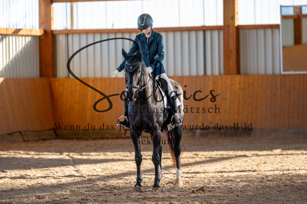A7V01628 | Turnier/Reitfotograf