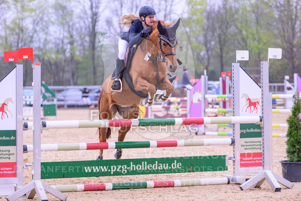 12042026-Mammendorf-Prfg41-0230 | Fokus Hufschlag Fotografie - Realisiert mit Pictrs.com