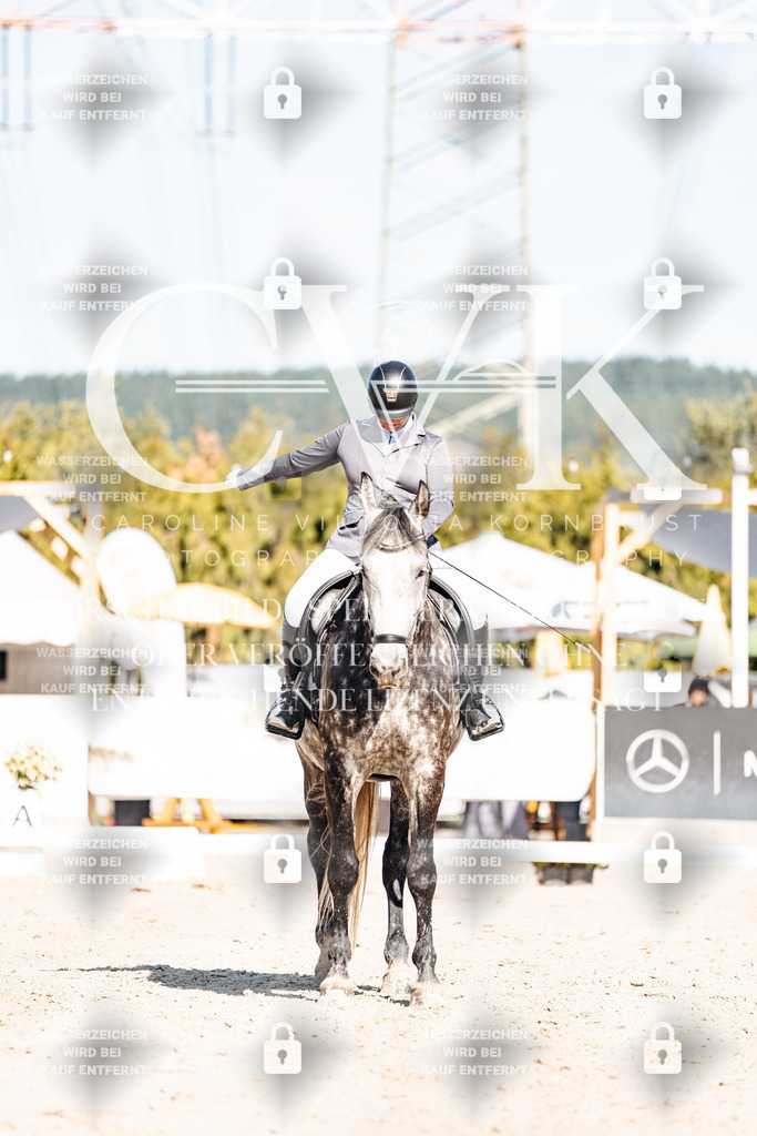 CK908220 | Turnierfotografie Pferdefotografie Trier Rheinland-Pfalz Pferdesport Reitsport Tierfotografie Sportfotografie Pferdevideo Pferdevideografie Equestrianvideography equestrianphotography  - Realisiert mit Pictrs.com