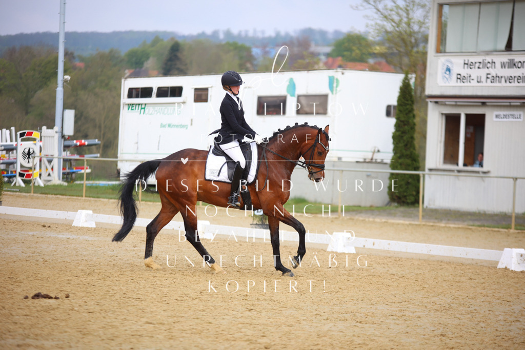 IMGT7991 | pl-fotografie