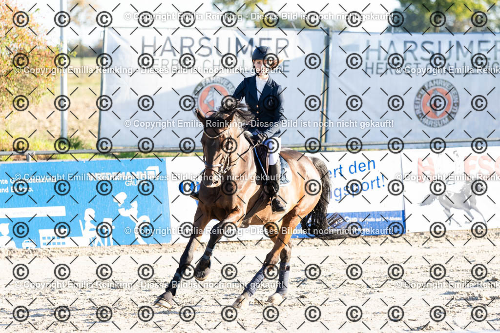 CL5A0911 | Emilia Reinking Fotografie - Realisiert mit Pictrs.com