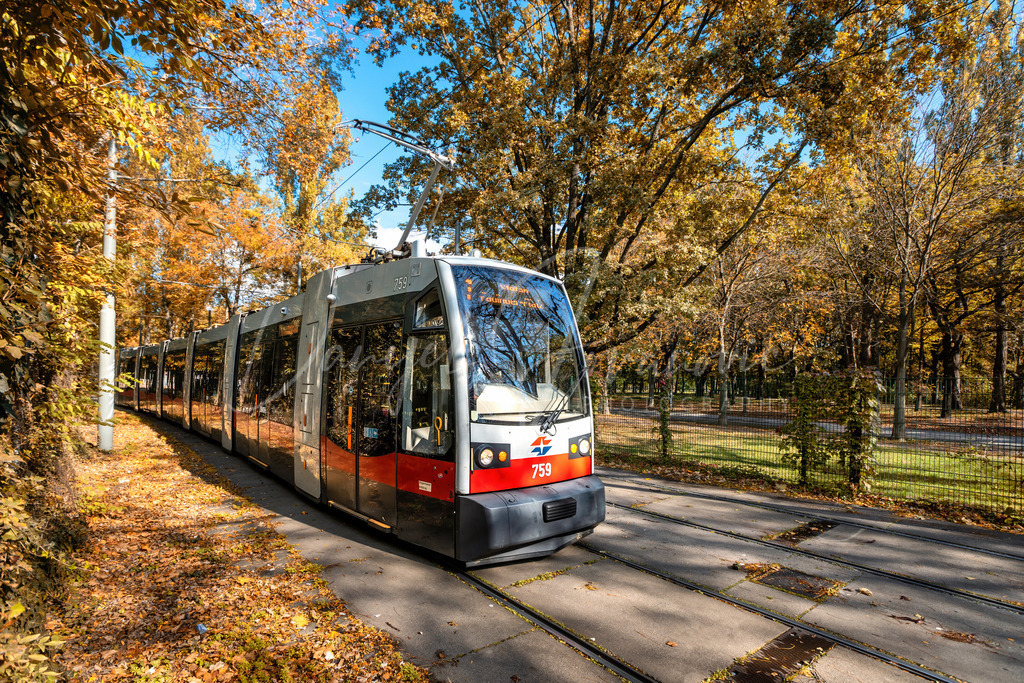 Straßenbahn | Siemens ULF in der herbstlichen Praterallee