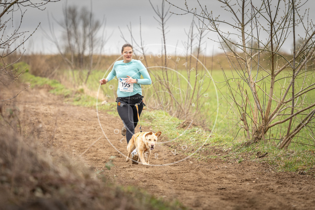 DV3A2290 | Hundefotografie, Tierfotograf, Pfotenfotografie, Fotoshooting Hund, Hunde Portrait, Hundesport, Hundeportraits, Heideshooting, Hunde, Sportfotograf, Hundefotograf, Turnierhundsport, THS,  - Realisiert mit Pictrs.com