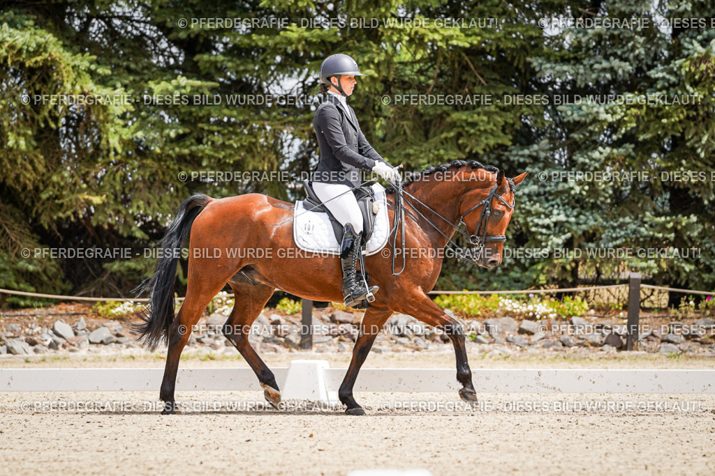 DSC03634 | Pferdegrafie