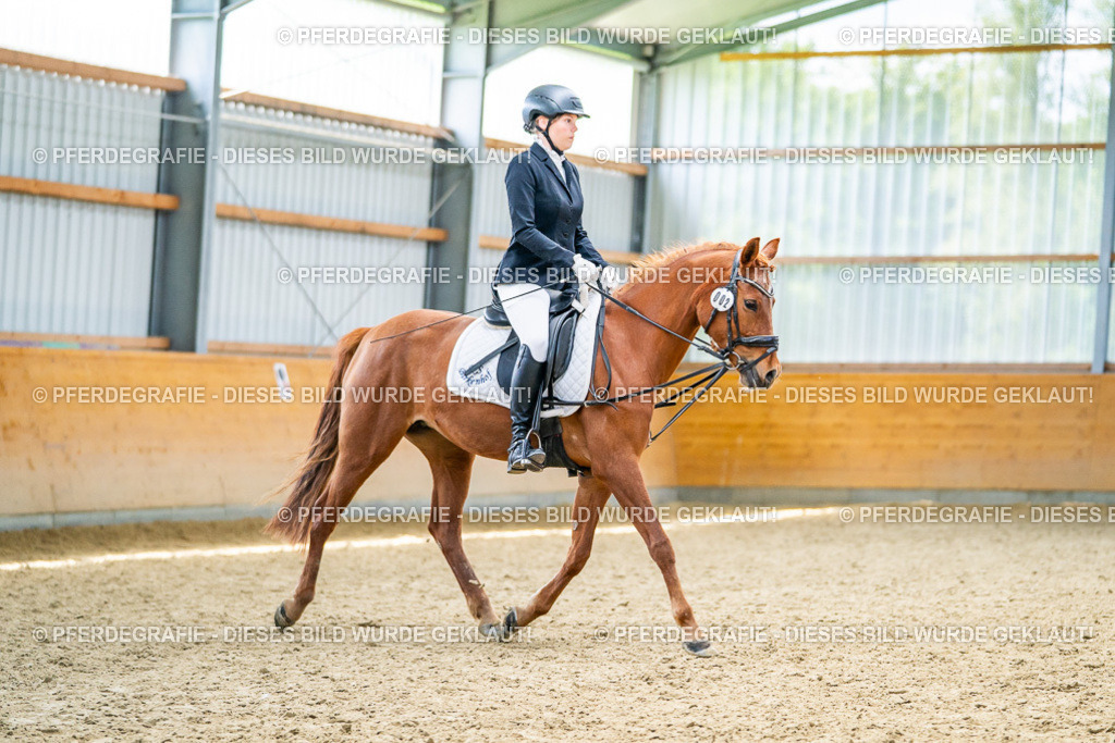 DSC03944 | Pferdegrafie