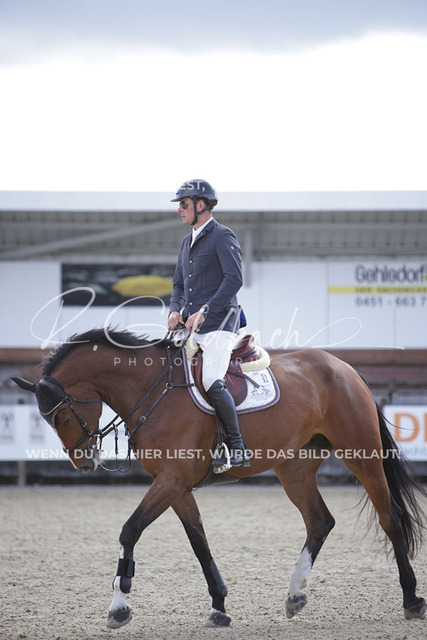 1J2A6109Andreas Erni_ D_Olympic L.A. Z_ Kn349_ Havekost | Foto- und Videografie für alles rund ums Pferd. Hochwertige Bilder und Videos vom Spring- und Dressurreiten, Voltigieren & mehr. Jetzt aktuelle Veranstaltungen und Preise im Shop ansehen. - Realisiert mit Pictrs.com