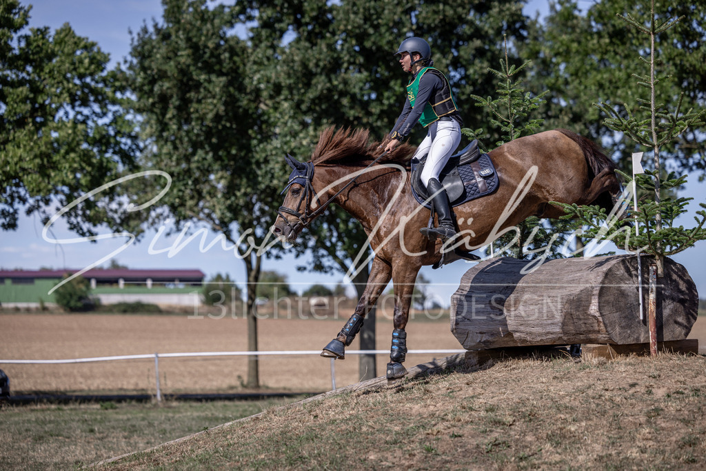 20260906-_3LI5474 | Tierfotografie Pferde, Hunde, Katzen, Haustiere.
Turnierfotografie Reitturniere, Reiten, Springreiten, Dressur in Hanau, dem Main-Kinzig-Kreis und dem Rhein-Main- Gebiet um Frankfurt