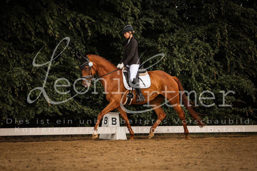 DoDrA00240 | Leoni Ertmer Photography - Realisiert mit Pictrs.com