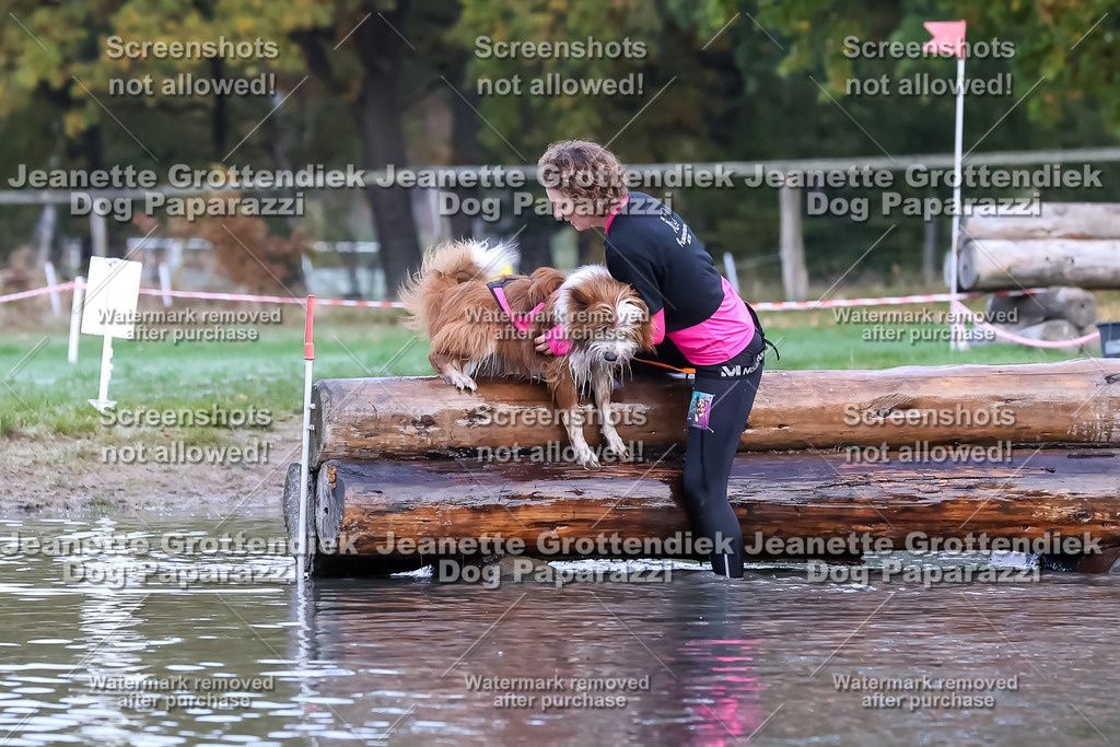 Dog Paparazzi - Strongdog 10-25-6390 | Dog Paparazzi Jeanette Grottendiek Fotografie & Videografie - Realisiert mit Pictrs.com