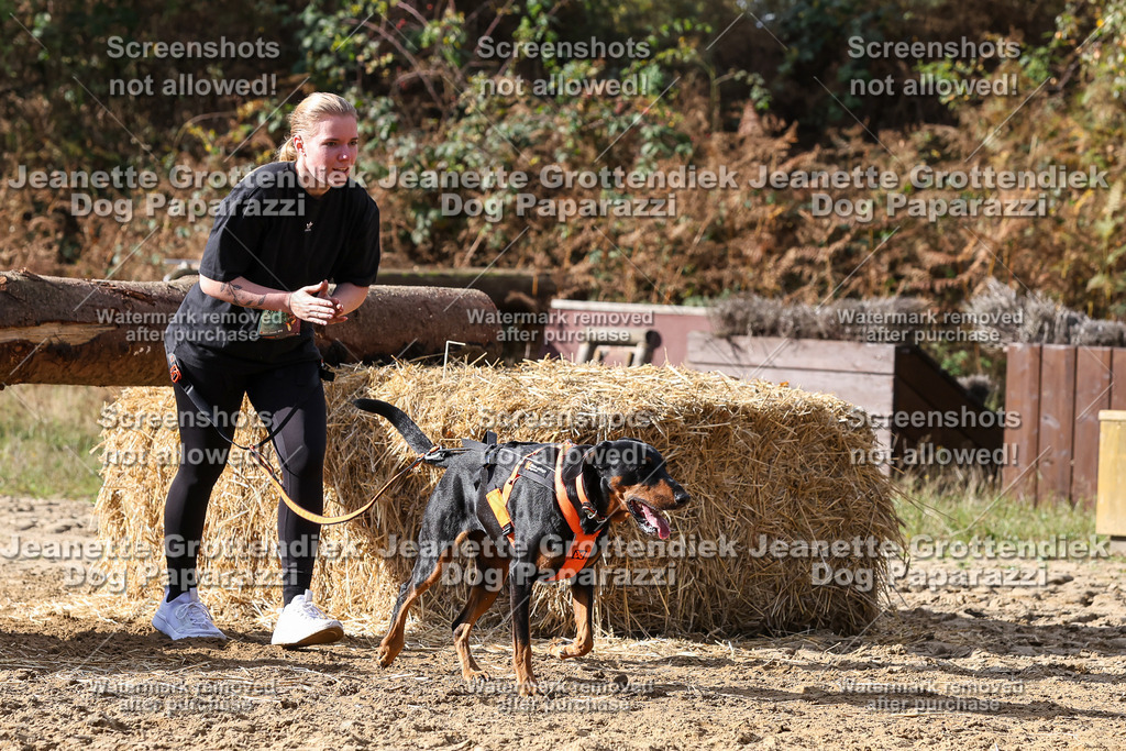 Dog Paparazzi - Strongdog 10-25-5036 | Dog Paparazzi Jeanette Grottendiek Fotografie & Videografie - Realisiert mit Pictrs.com