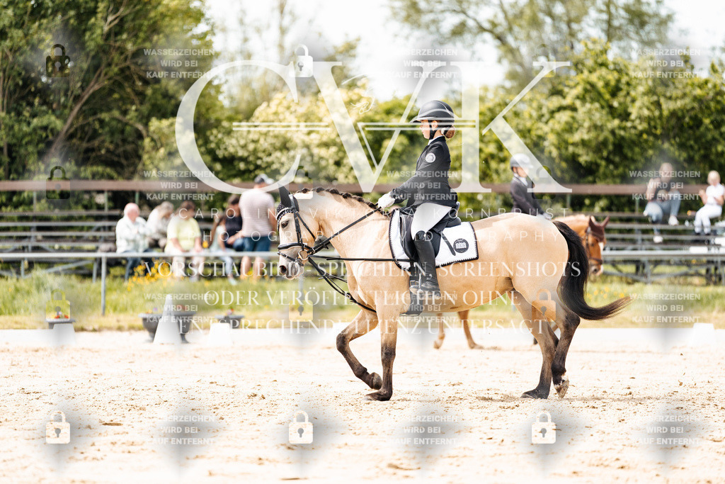 CK902465 | Turnierfotografie Pferdefotografie Trier Rheinland-Pfalz Pferdesport Reitsport Tierfotografie Sportfotografie Pferdevideo Pferdevideografie Equestrianvideography equestrianphotography  - Realisiert mit Pictrs.com