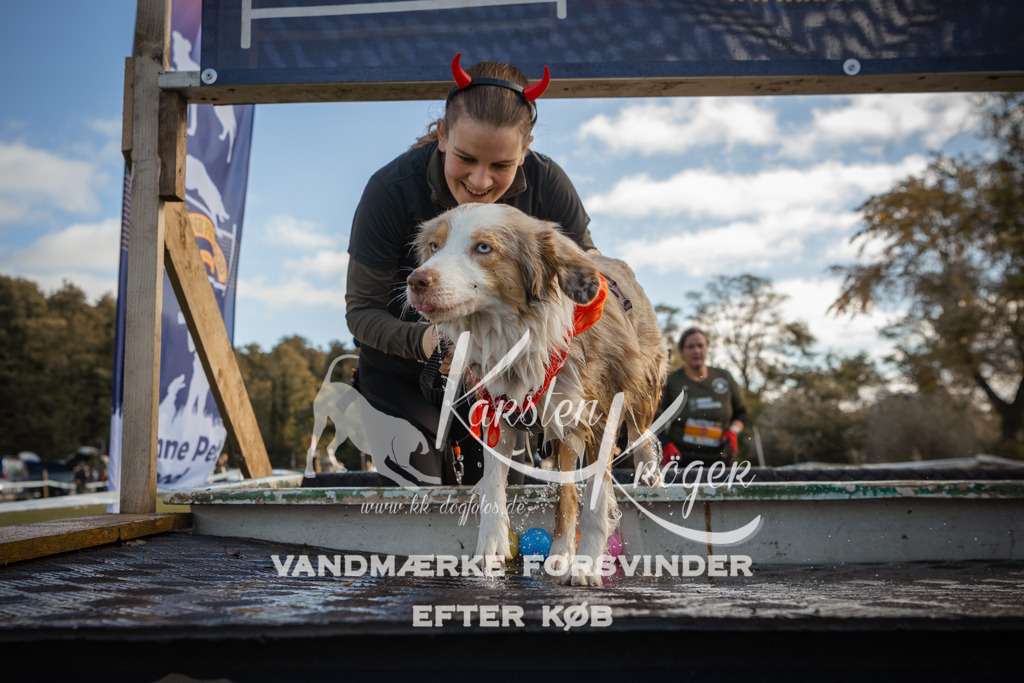 1308_ZZ99366-2 | kk-dogfotos