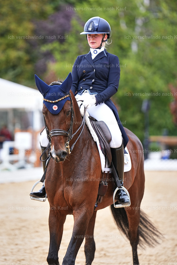 6-196-AMATUER-DRESSUR S_  -Marixx-3722 | working equitationturnier fotograf videograf stoibphotography marixx film working equitation deutschland reitsport turnierfotografie eventfotografie equestrian events