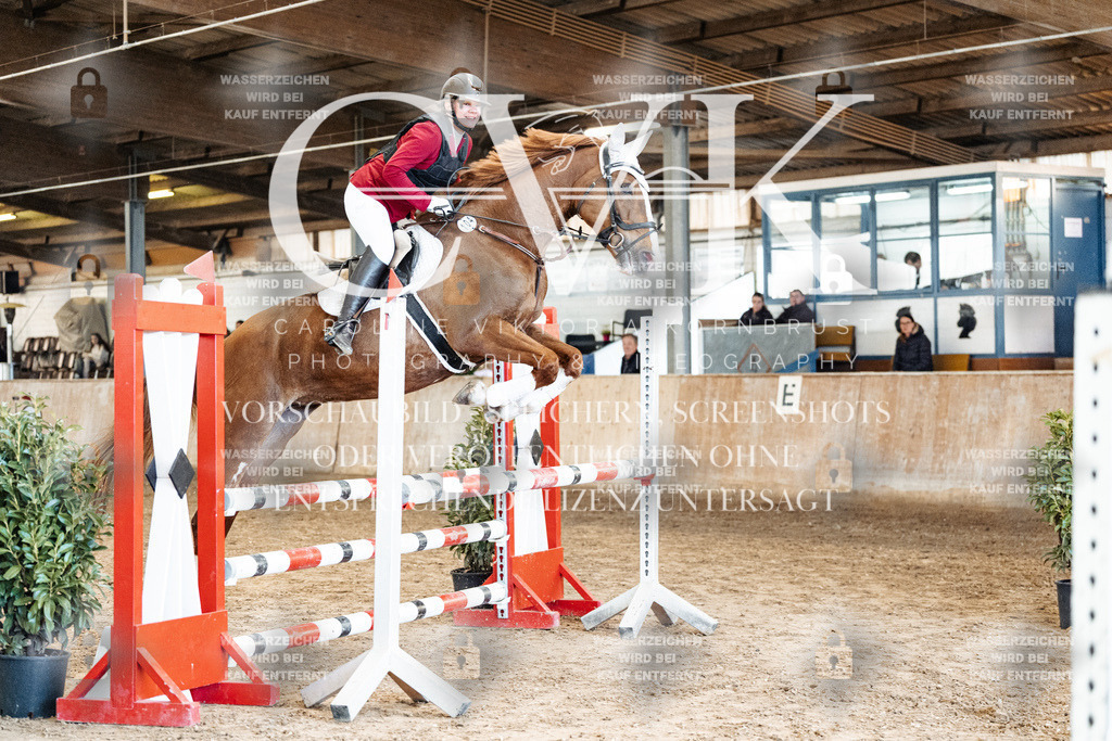 CK904990 | Turnierfotografie Pferdefotografie Trier Rheinland-Pfalz Pferdesport Reitsport Tierfotografie Sportfotografie Pferdevideo Pferdevideografie Equestrianvideography equestrianphotography  - Realized with Pictrs.com