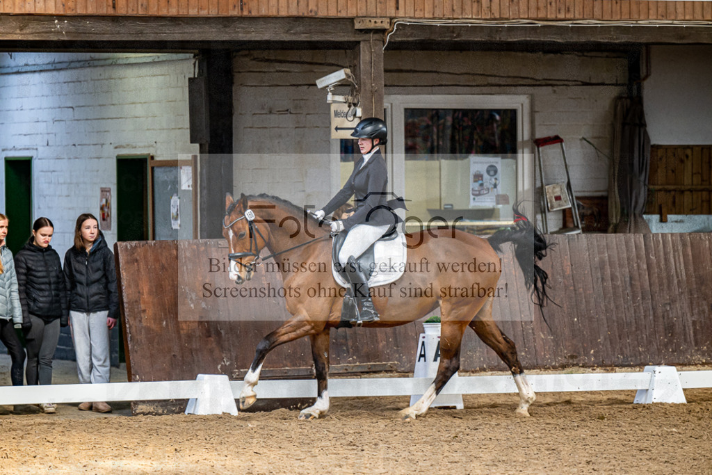 20240310-DOS_9892 | Entdecke hochwertige Reitturnierfotos von Foto Oger. Professionell, emotional und authentisch – jetzt Lieblingsmomente im Shop bestellen.Deutschlandweite Turnierfotografie. - Realisiert mit Pictrs.com