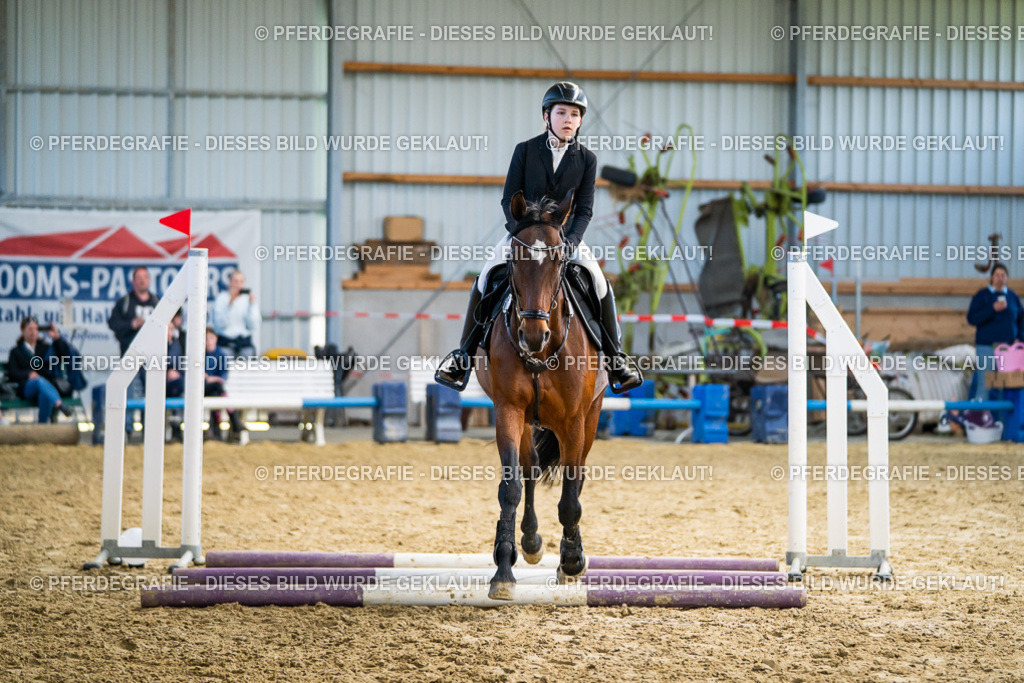 DSC01747 | Pferdegrafie