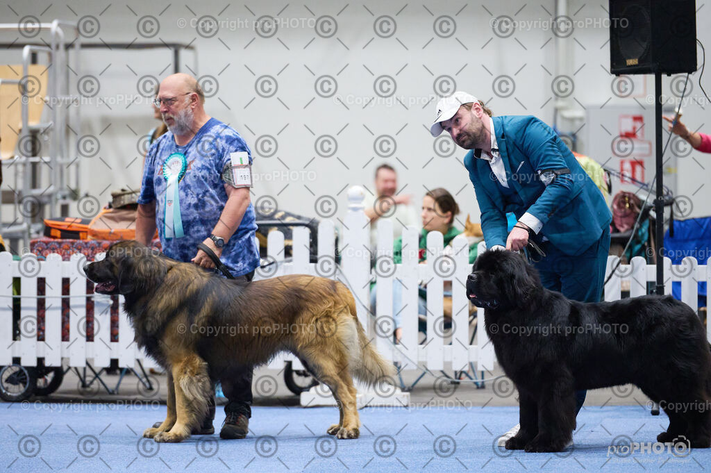 202406_ÖKV-IHA-Tulln24_DSC_2910 | proPHOTO - Realisiert mit Pictrs.com