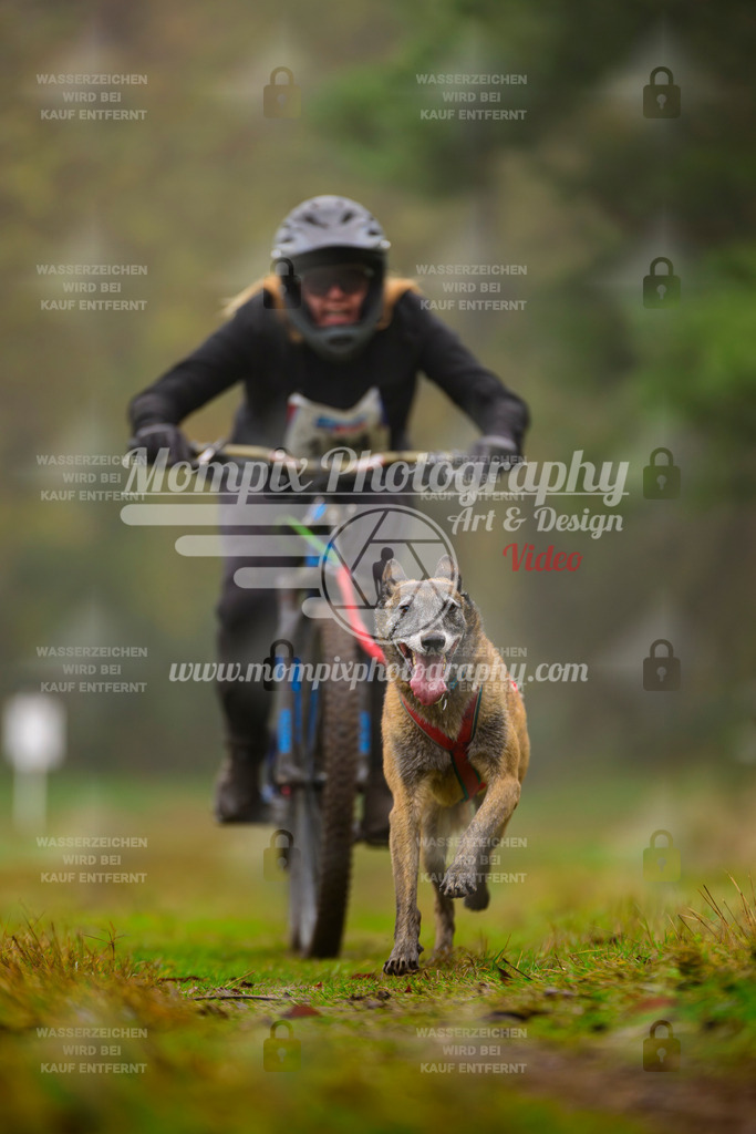 MompixPhotography_Bischwiller2025_Bike-68 | mompixphotography