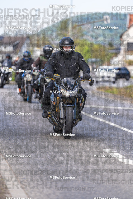 MSFotoService-368 | MSFotoService - Realisiert mit Pictrs.com