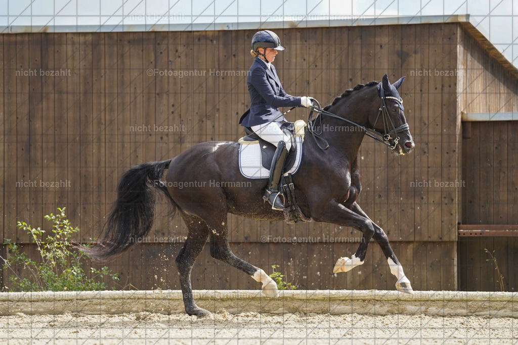 20230826-FAH05836 | Forstinning, 2023, Dressurturnier, Turniersportbilder, Turnierfotografen Bayern, Fotoagentur Herrmann, Reitsportfotografie, Turnierbilder