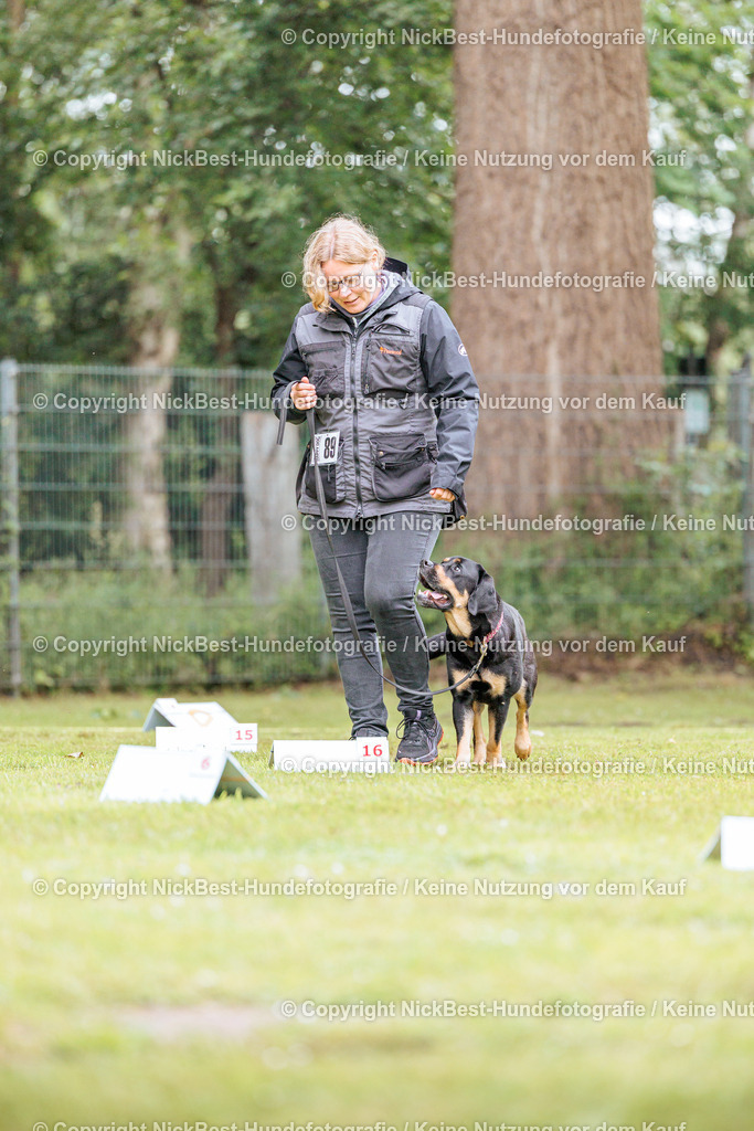 RO-Blumenthal-2026-Nickbest-Hundefotografie-4433 | Dein Hund! Dein Moment! Deine Erinnerungen! Hundefotografie in Bremen Blumenthal. Ich fange die besonderen Momente deines Vierbeiners ein – ob Indoor mit Blitzanlage oder in der freien Natur. Sicher dir dein Moment und dein Termin für eure Erinnerungen.