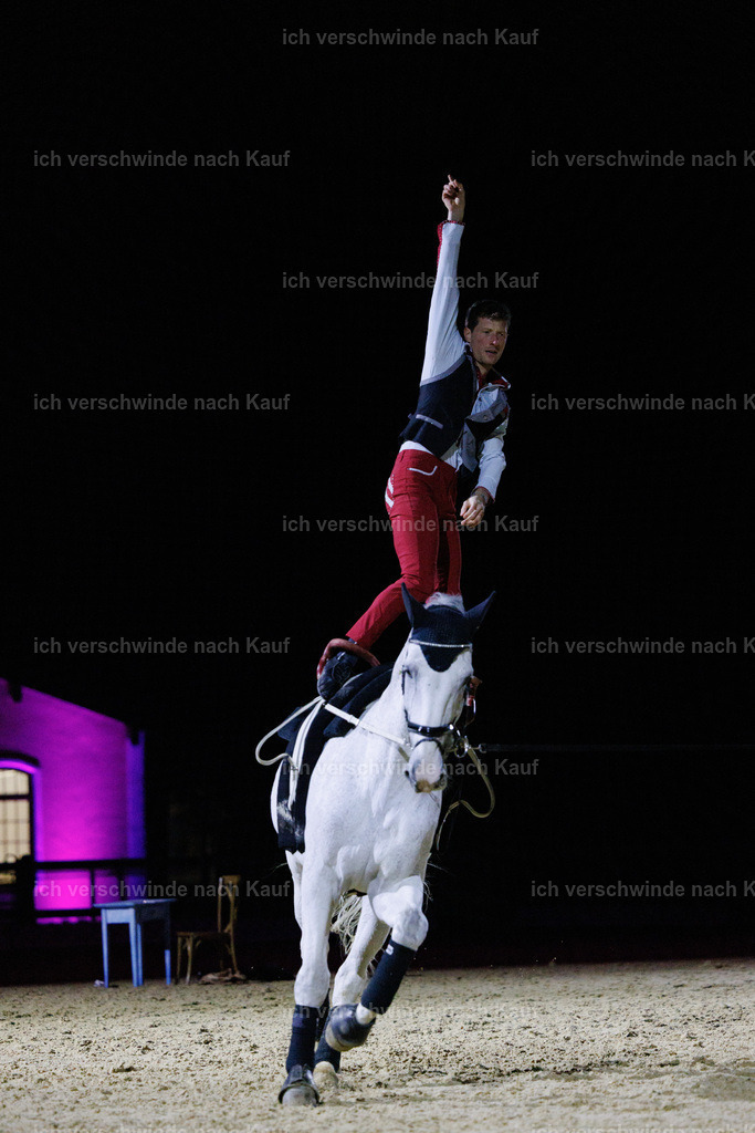 FHClassics-213 | working equitationturnier fotograf videograf stoibphotography marixx film working equitation deutschland reitsport turnierfotografie eventfotografie equestrian events