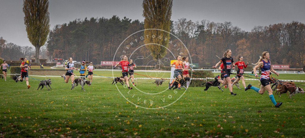 CaniXpix_DV3A8812 | Hundefotografie, Tierfotograf, Pfotenfotografie, Fotoshooting Hund, Hunde Portrait, Hundesport, Hundeportraits, Heideshooting, Hunde, Sportfotograf, Hundefotograf, Turnierhundsport, THS,  - Realisiert mit Pictrs.com
