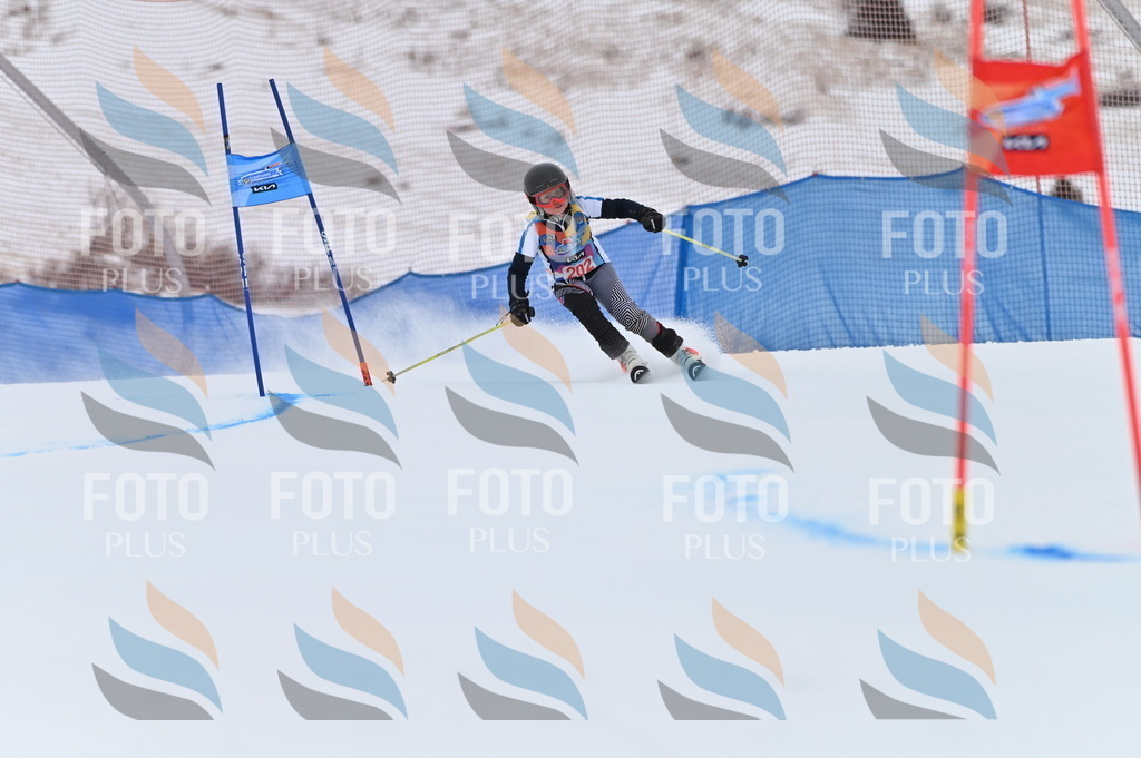 BGV_1964 | holidayphoto