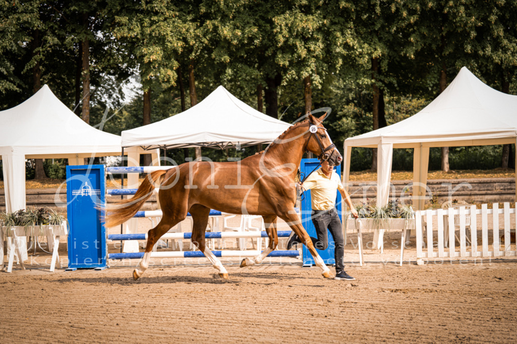 FrER00085 | Leoni Ertmer Photography - Realisiert mit Pictrs.com