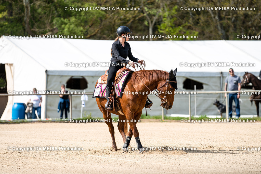 Heiligenwald Tag 2-891 | dv-media-shop - Realisiert mit Pictrs.com