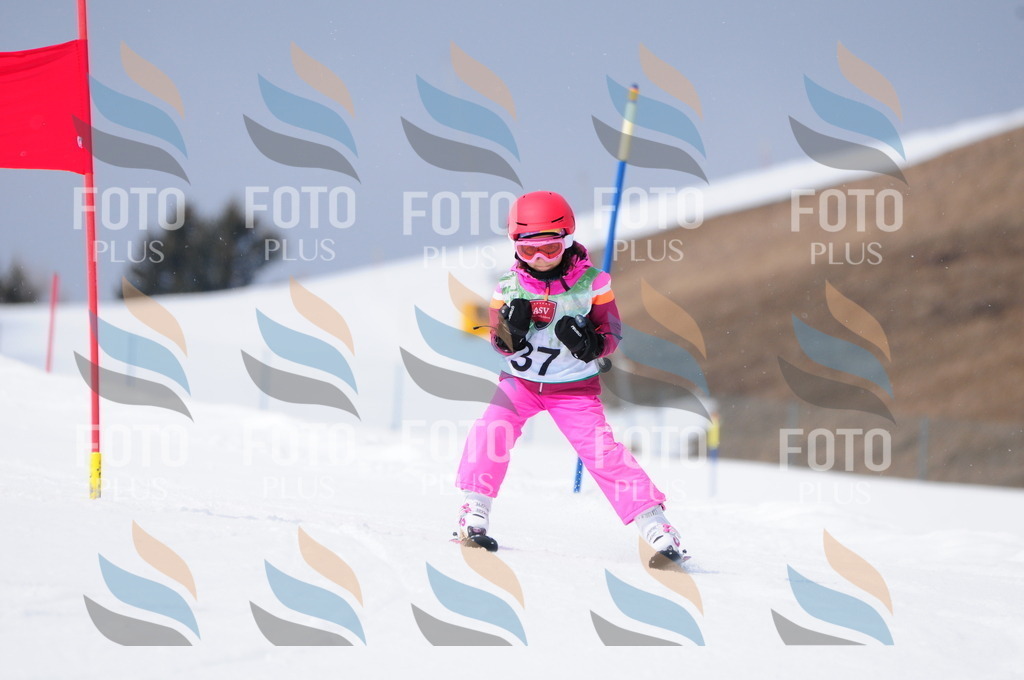 A3512 | holidayphoto