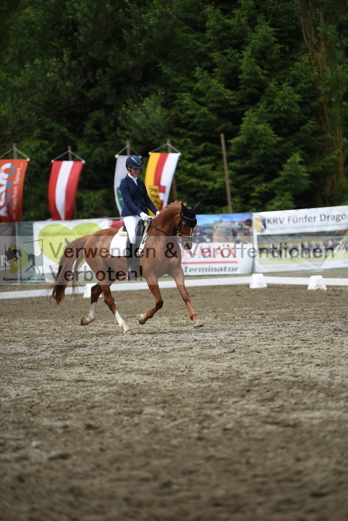 DSC_0954 | equestrian-live-com