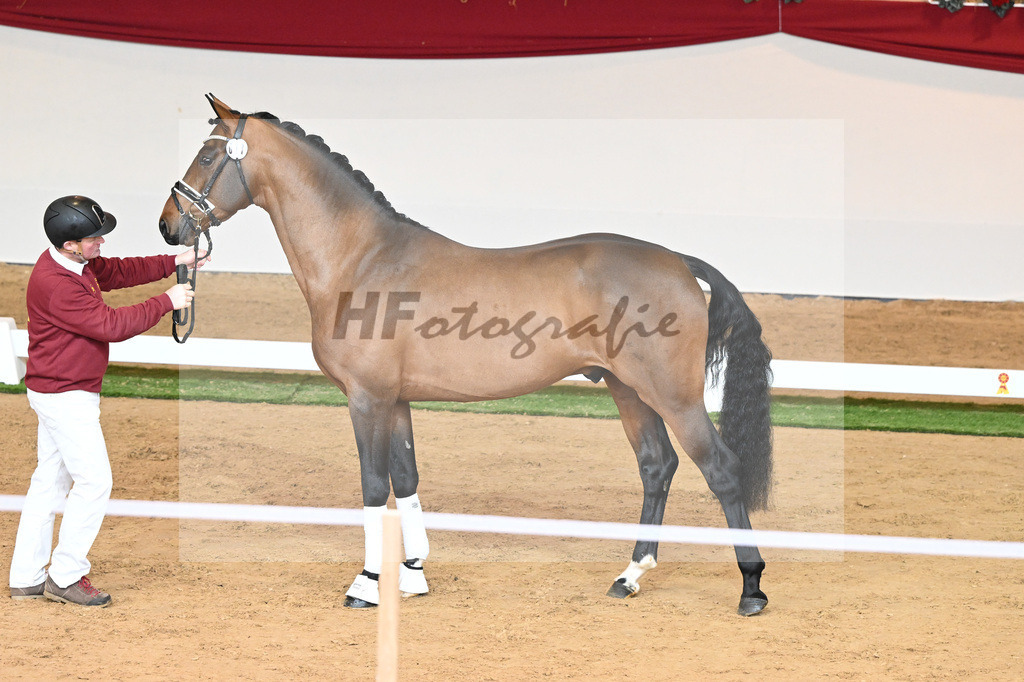 Kat-Nr. 77 Vitalis_Bock_1230540 | hf-fotografie - Realisiert mit Pictrs.com
