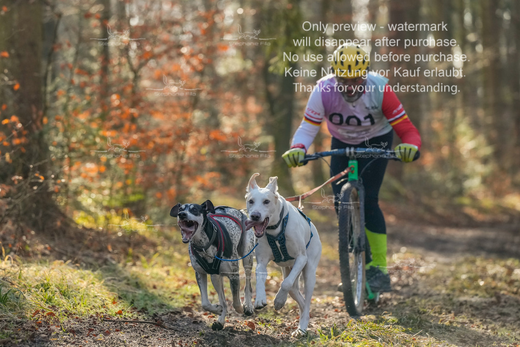 0_So_Scooter_2_lang-4 | stephaniefillaphotographie - Realisiert mit Pictrs.com