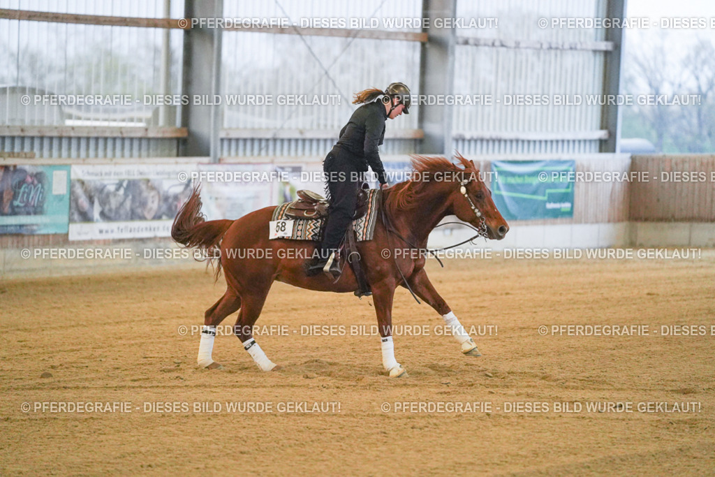 DSC09291 | Pferdegrafie