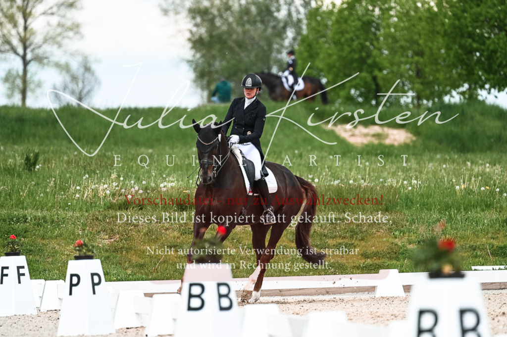 20230514_JK-Röhrsdorf-21-145 | Pferde- und Turnierfotografie in Westsachsen. Pferdeportraits, Auftragszeichnungen und intuitive Kunst.