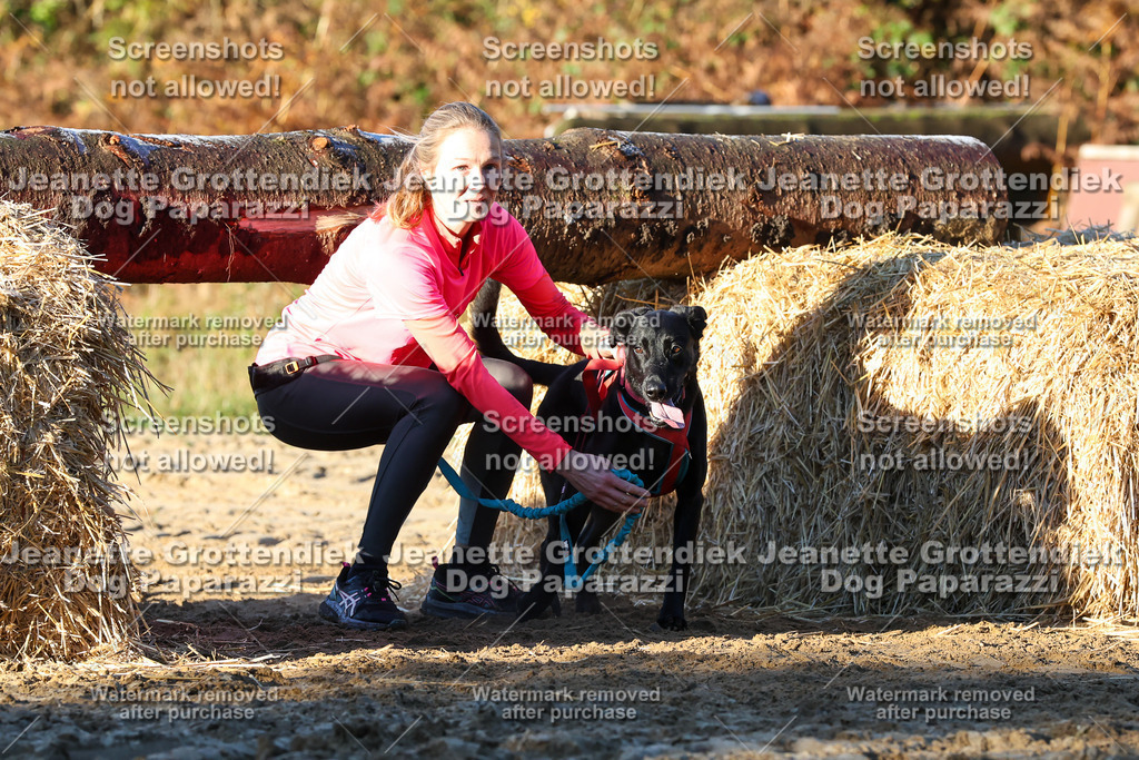 Dog Paparazzi - Strongdog 10-25-865 | Dog Paparazzi Jeanette Grottendiek Fotografie & Videografie - Realisiert mit Pictrs.com