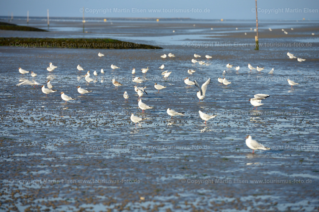 Cuxhaven_ELS_8205260716 | Fotos aus den Touristenorten aus Norddeutschland. - Realisiert mit Pictrs.com