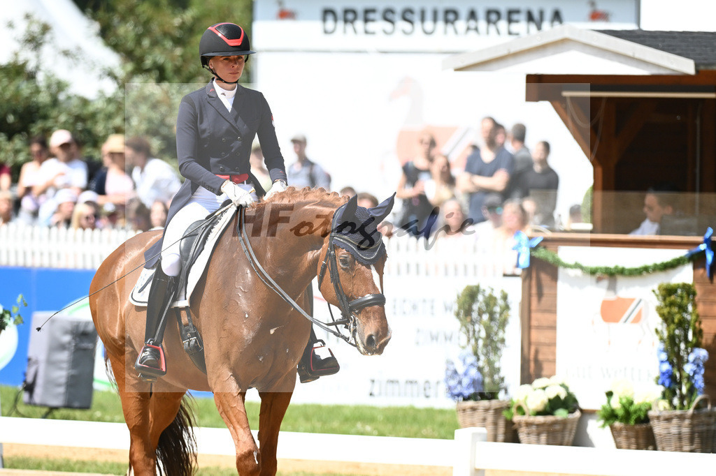 Baer_Superstar_12243749 | hf-fotografie - Realisiert mit Pictrs.com