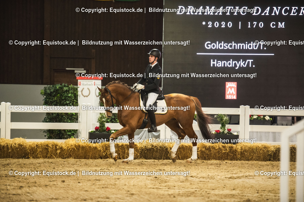 20240302_Hengstvorstellung_Marbach_TOMsPiC_0359 | equistock