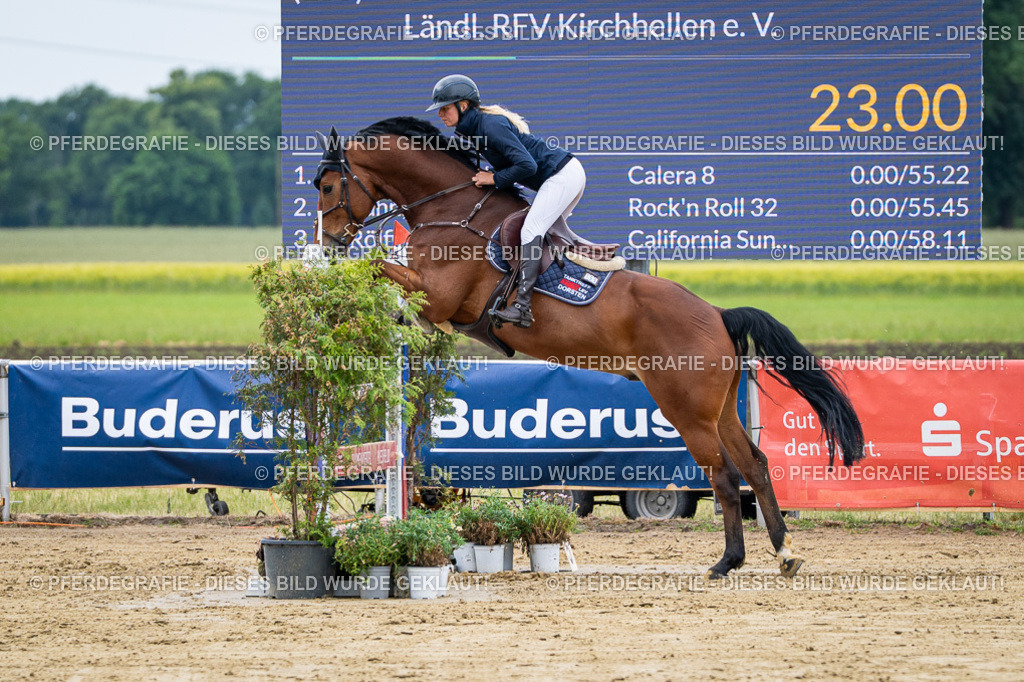 DSC04774 | Pferdegrafie