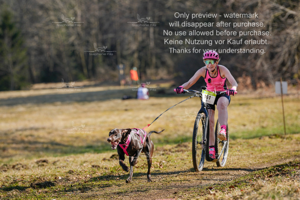 Scooter_So-19 | stephaniefillaphotographie - Realisiert mit Pictrs.com