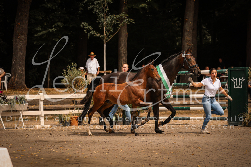 SaPA00004 | Leoni Ertmer Photography - Realisiert mit Pictrs.com